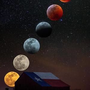 Meet your Posher, Gary